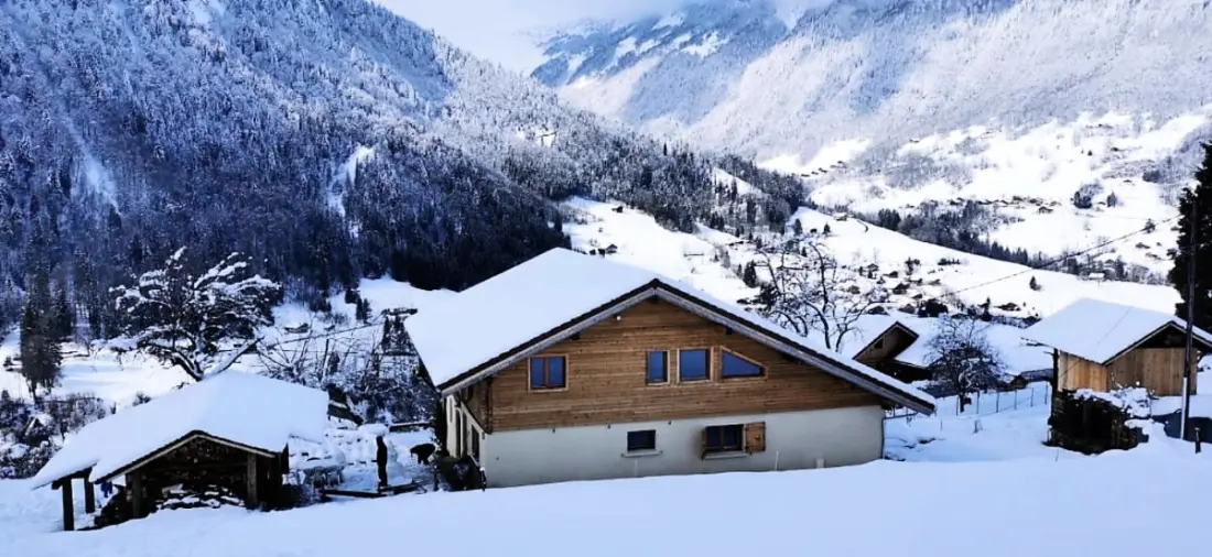 Jana Screen - Family Chalet a kerttel