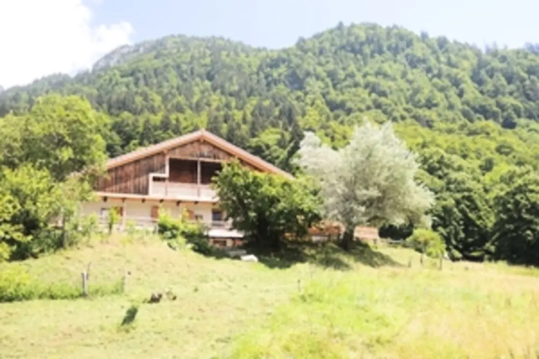 Jana Screen - Family Chalet a kerttel
