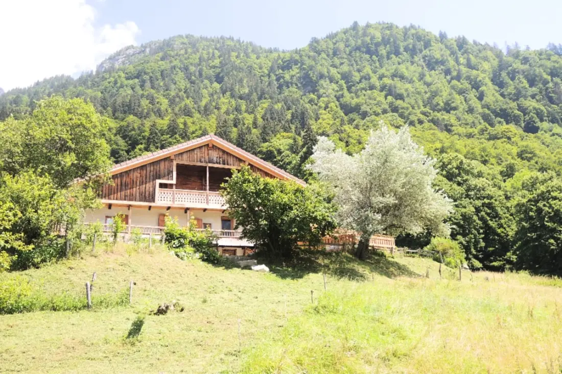 Jana Screen - Family Chalet a kerttel