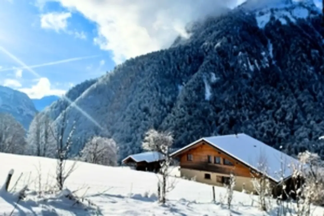 Jana Screen - Family Chalet a kerttel