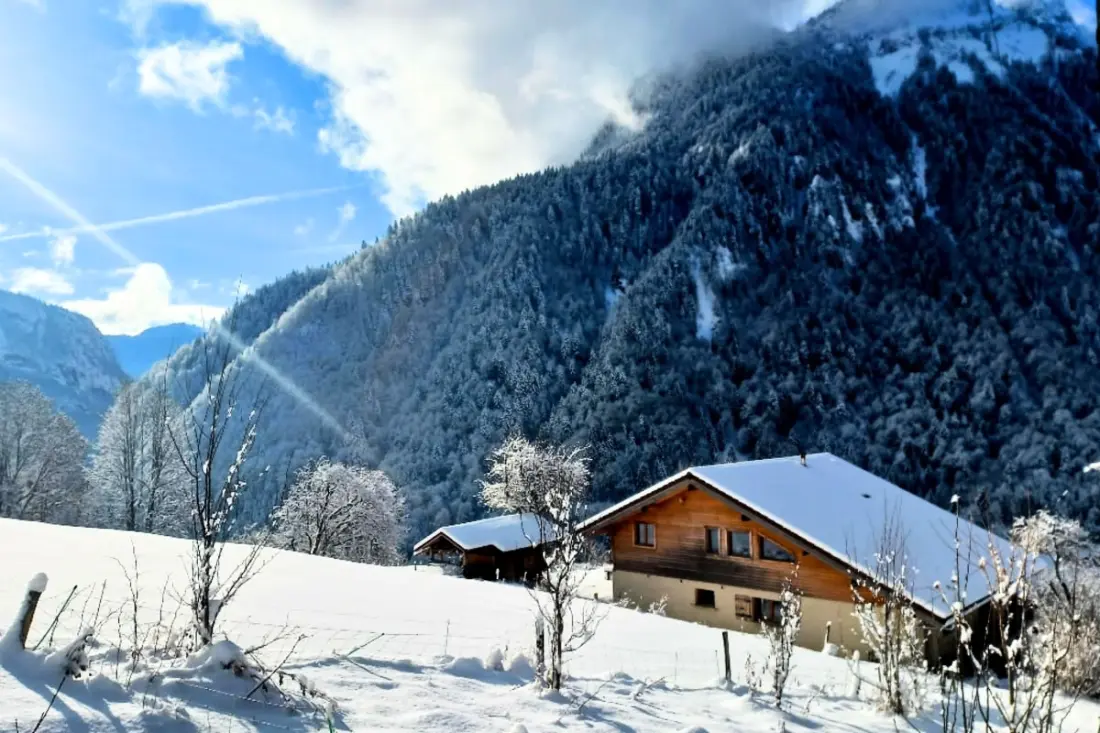 Jana Screen - Family Chalet a kerttel