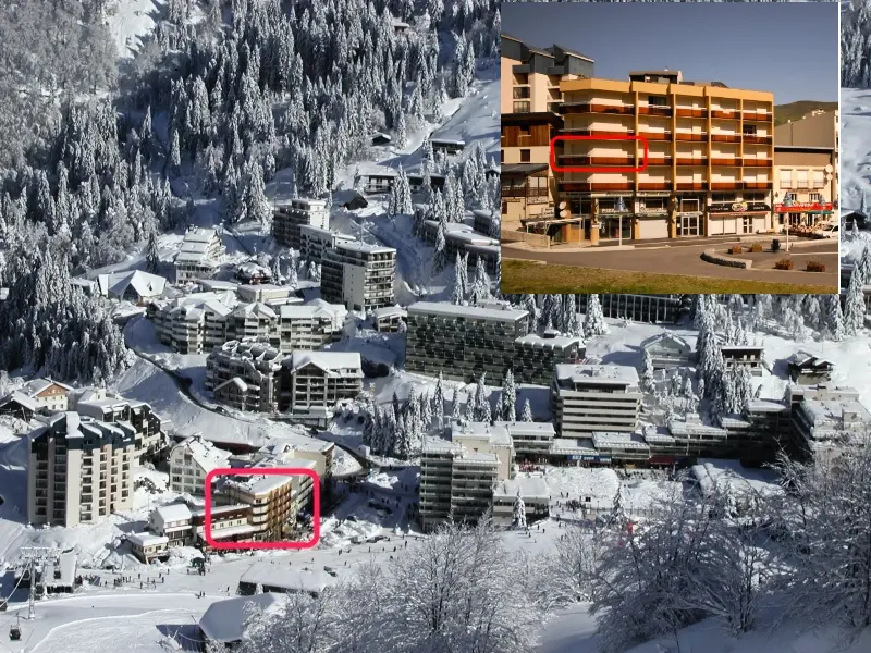 Marmot lakóhely