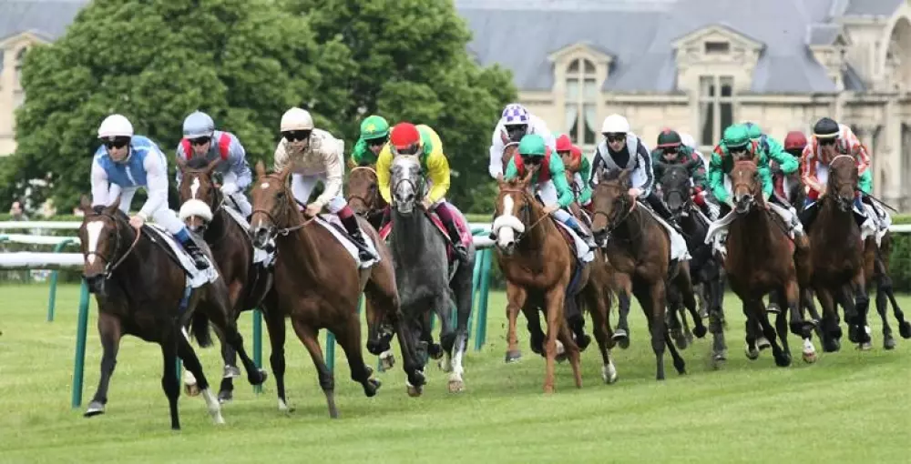 Campsite Le Pré des Moines