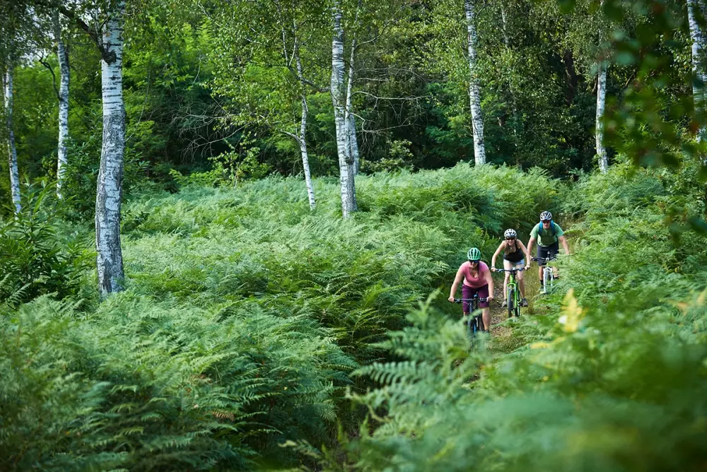 Kolpa Resort glamping