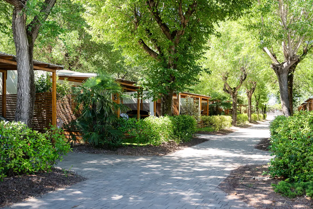 Club del Sole Tenuta Primero Rodzina Grado - Nie.