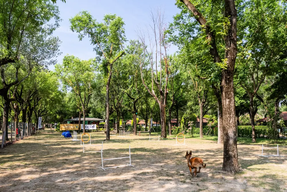 Club del Sole Tenuta Primero Grado családgyűjtemény Útvonalterv
