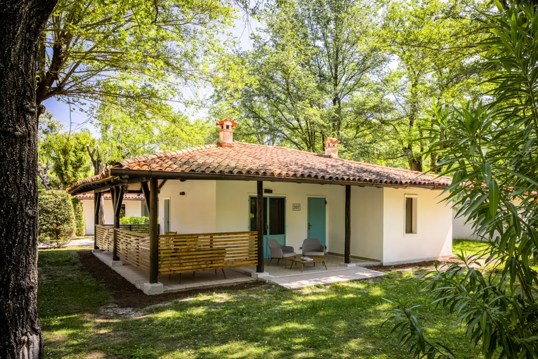 Club del Sole Tenuta Primero Rodzina Grado - Nie.