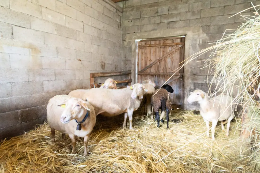 Gîte de France Gîte de la grangette 5/6 Personen 3 Ähren