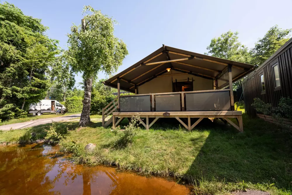 Kwiat Kempingi LA STENIOLE 4 Gwiazdy★★★★ 4 Gwiazdy★★★★ 4 Gwiazdy★★★★ 4 Gwiazdy★★★★