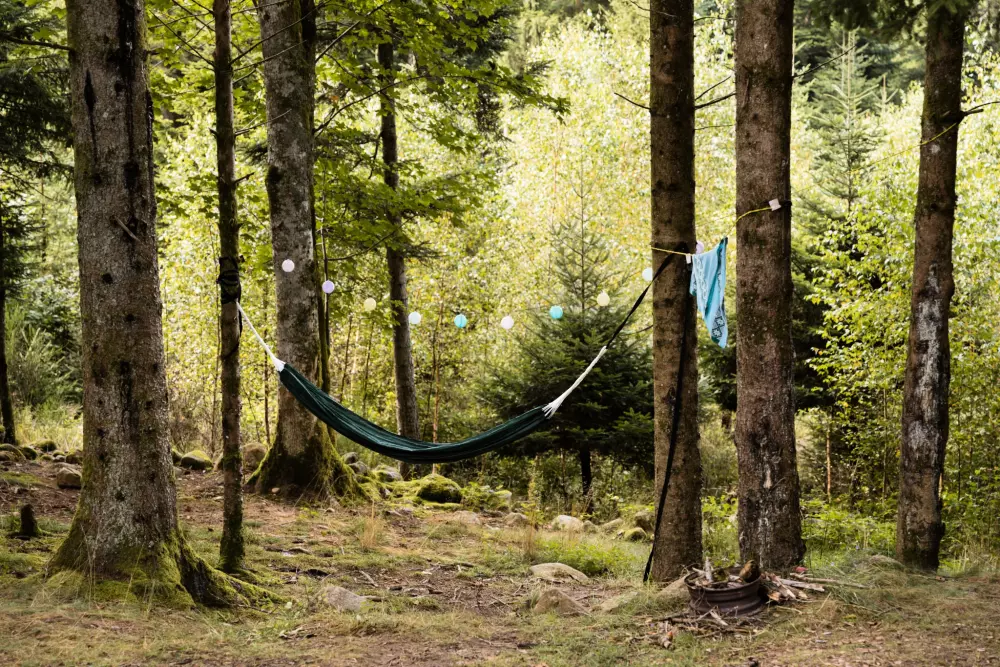 Kwiat Kempingi LA STENIOLE 4 Gwiazdy★★★★ 4 Gwiazdy★★★★ 4 Gwiazdy★★★★ 4 Gwiazdy★★★★