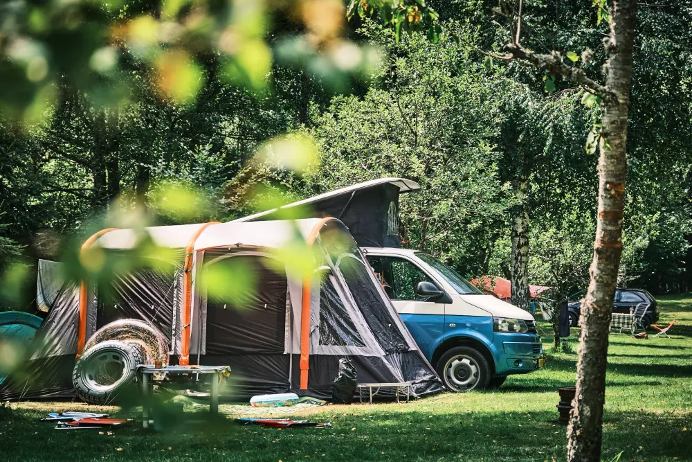 Kwiat Kempingi LA STENIOLE 4 Gwiazdy★★★★ 4 Gwiazdy★★★★ 4 Gwiazdy★★★★ 4 Gwiazdy★★★★