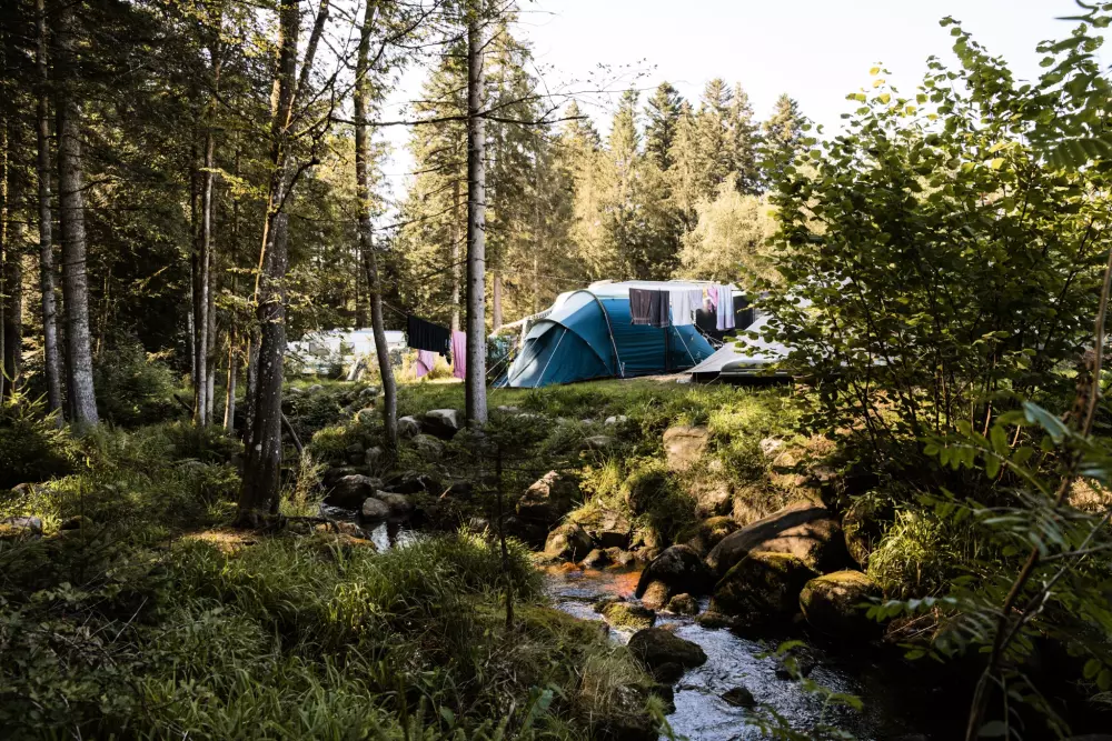 Kwiat Kempingi LA STENIOLE 4 Gwiazdy★★★★ 4 Gwiazdy★★★★ 4 Gwiazdy★★★★ 4 Gwiazdy★★★★