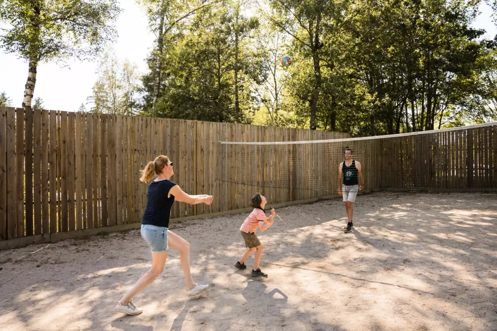 Kwiat Kempingi LA STENIOLE 4 Gwiazdy★★★★ 4 Gwiazdy★★★★ 4 Gwiazdy★★★★ 4 Gwiazdy★★★★