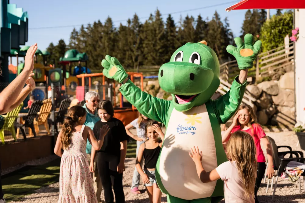 Kwiat Kempingi LA STENIOLE 4 Gwiazdy★★★★ 4 Gwiazdy★★★★ 4 Gwiazdy★★★★ 4 Gwiazdy★★★★