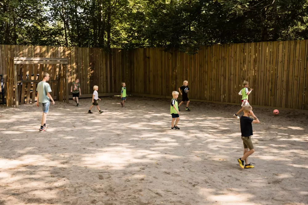 Kwiat Kempingi LA STENIOLE 4 Gwiazdy★★★★ 4 Gwiazdy★★★★ 4 Gwiazdy★★★★ 4 Gwiazdy★★★★