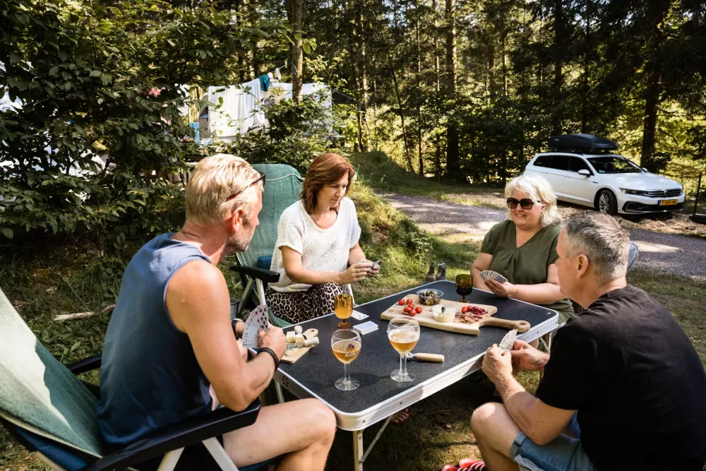 Kwiat Kempingi LA STENIOLE 4 Gwiazdy★★★★ 4 Gwiazdy★★★★ 4 Gwiazdy★★★★ 4 Gwiazdy★★★★