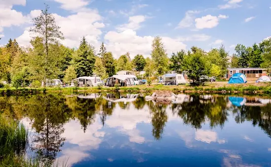 Bloemen Camping LA STENIOLE ****