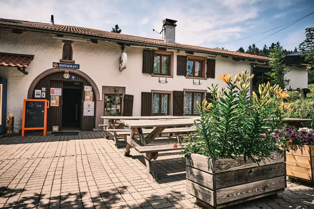 Kwiat Kempingi LA STENIOLE 4 Gwiazdy★★★★ 4 Gwiazdy★★★★ 4 Gwiazdy★★★★ 4 Gwiazdy★★★★