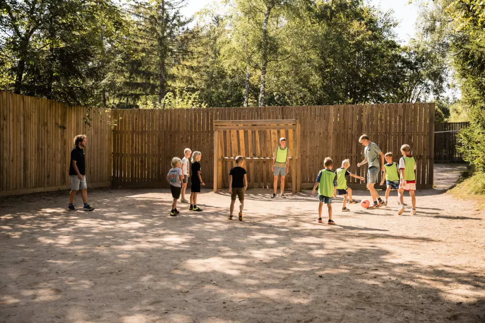 Kwiat Kempingi LA STENIOLE 4 Gwiazdy★★★★ 4 Gwiazdy★★★★ 4 Gwiazdy★★★★ 4 Gwiazdy★★★★