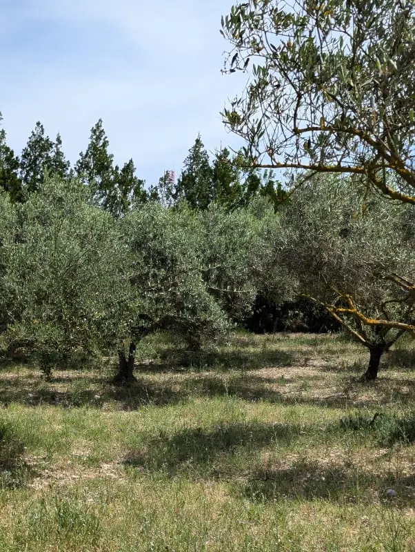 Family House Au Coeur De La Provence - úszómedence