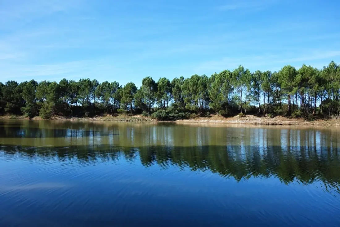Campsite Des Familles - Nie.