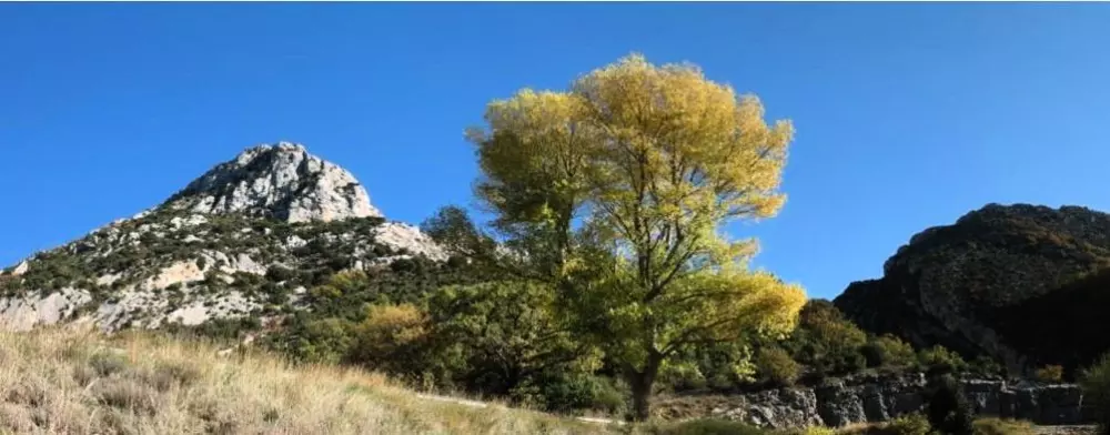 Campingplatz La Pinède 4 Sterne★★★★