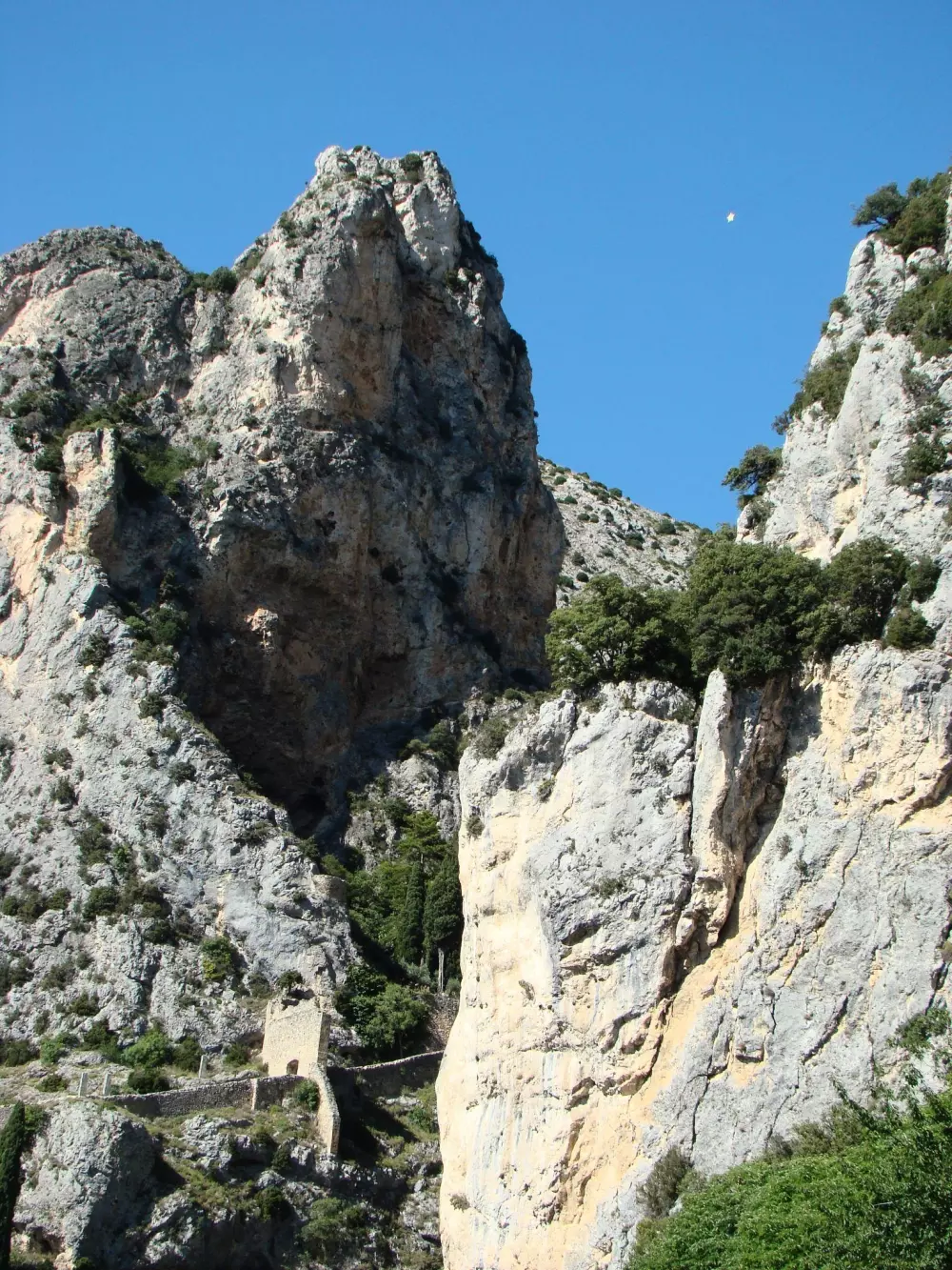 Campingplatz La Pinède 4 Sterne★★★★