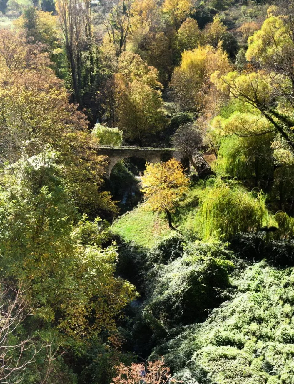 Campingplatz La Pinède 4 Sterne★★★★