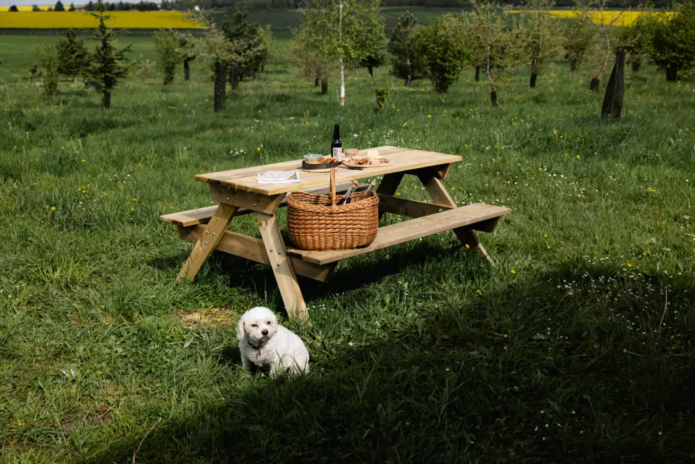 Brunel - Parcel Tiny House