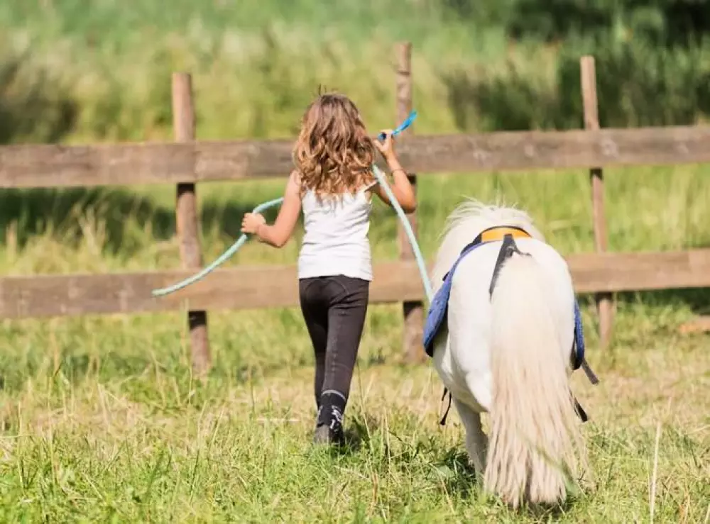 Camping Les Prairies de la Mer5 Stjerner★★★★★