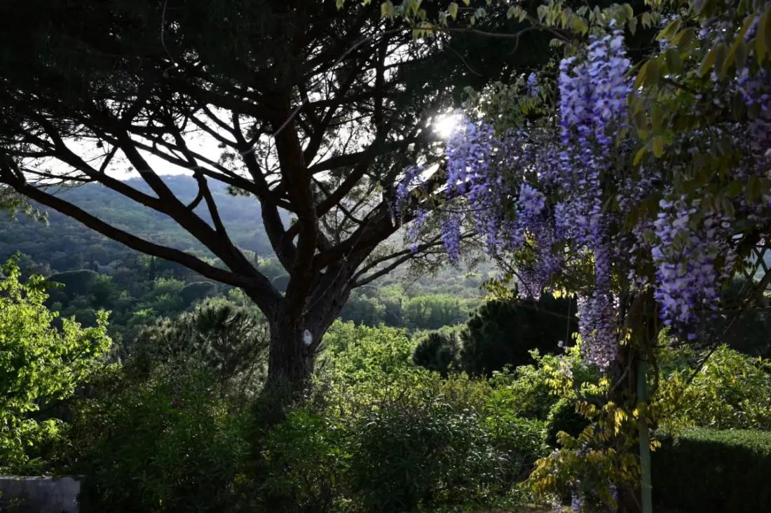 Villa 10 Pers • úszómedence • 5 Suites Grimaud