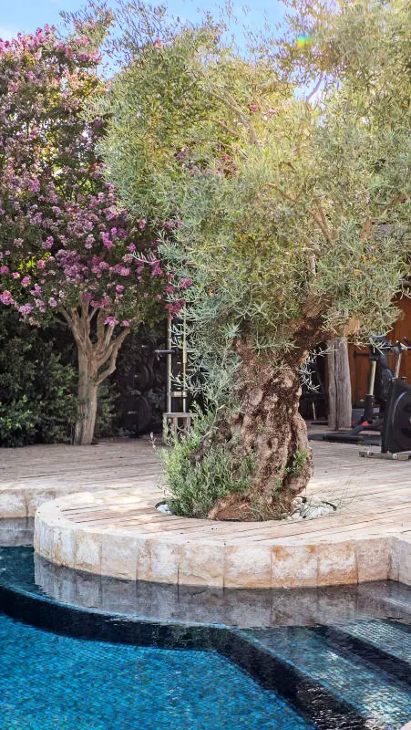 Villa - 250 M2 - 5 Ch. - úszómedence - Gulf St Tropez