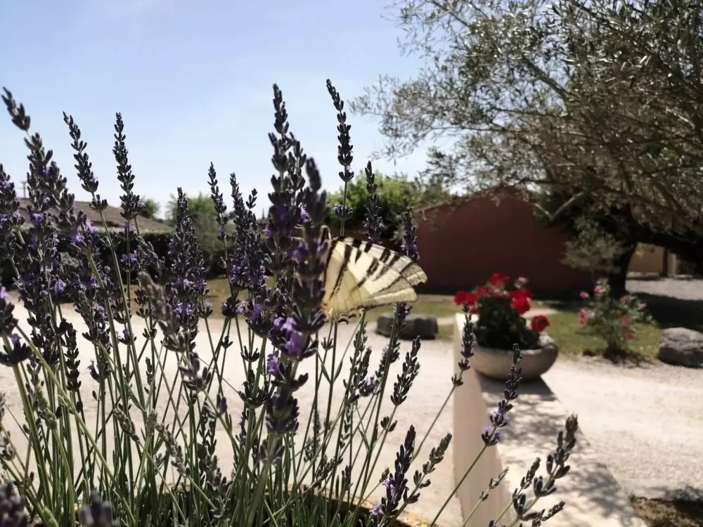 Domaine des Garrigues 3 Sterne★★★