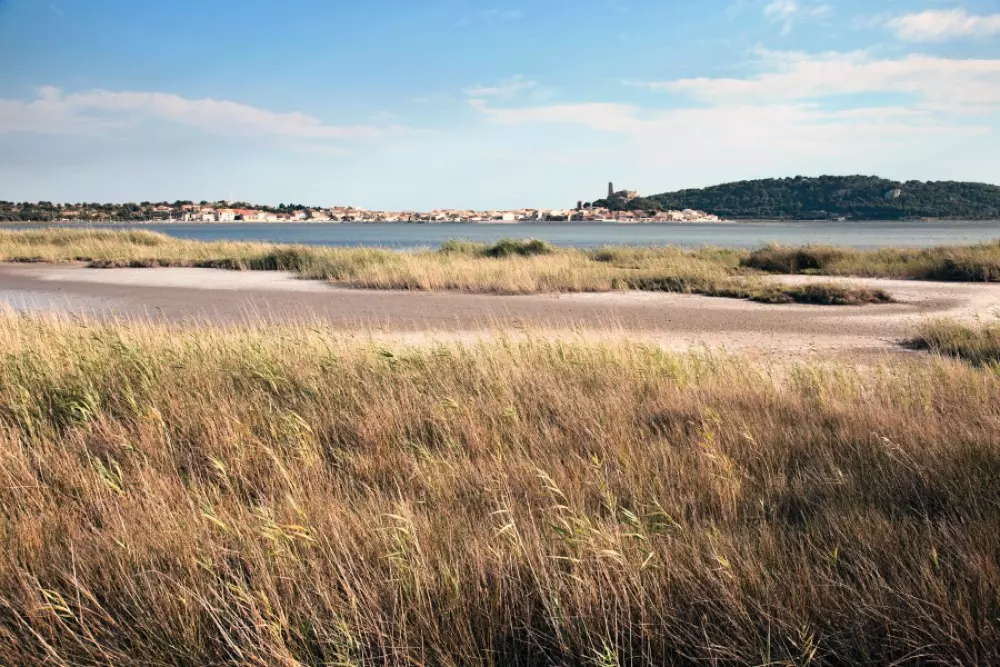 Belambra Club Résidence Gruissan - Les Ayguades