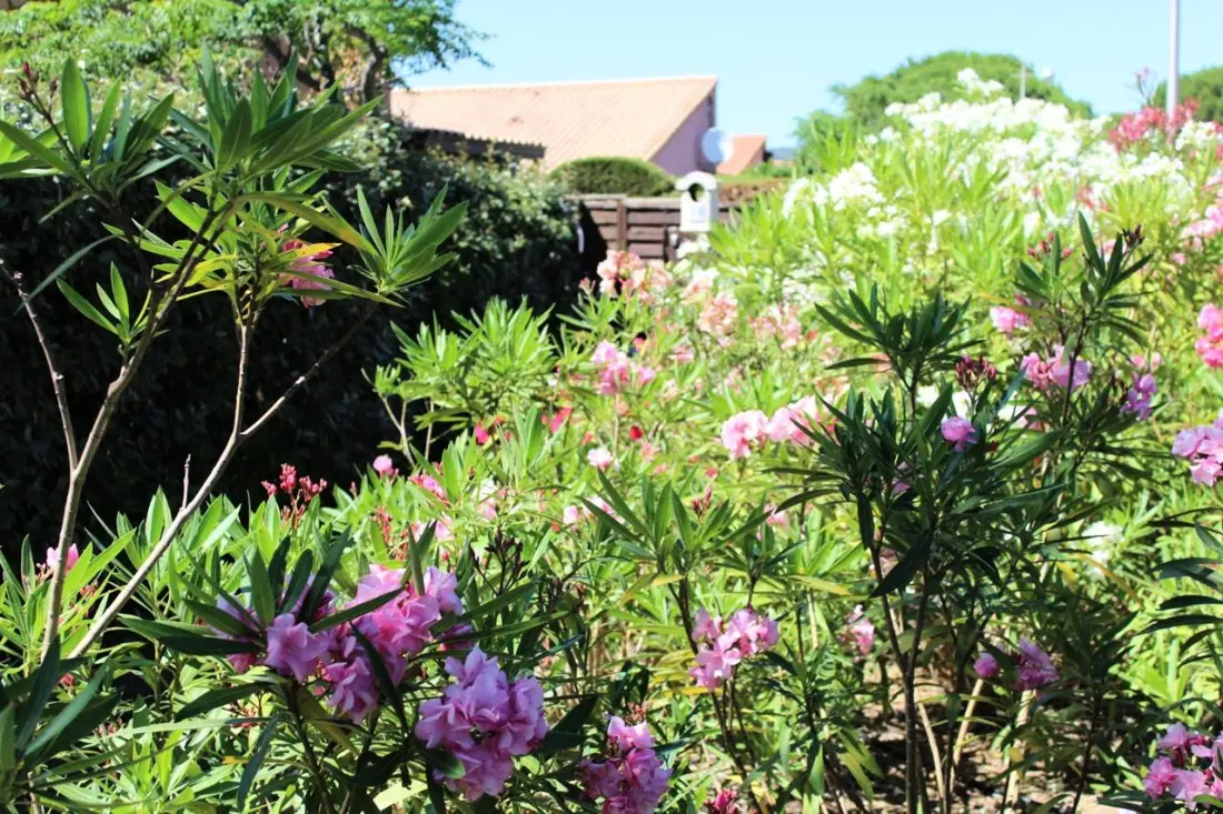 Residence Amandines