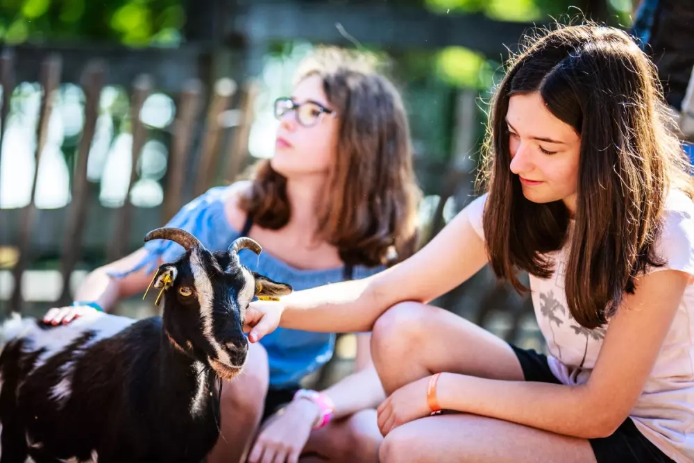 Campsite Domaine de Bréhadour4 Csillagok★★★★