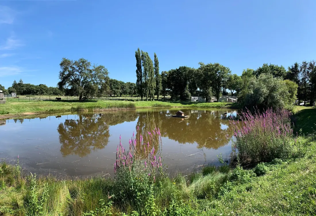 Campeggio L'Étang du Pays Blanc