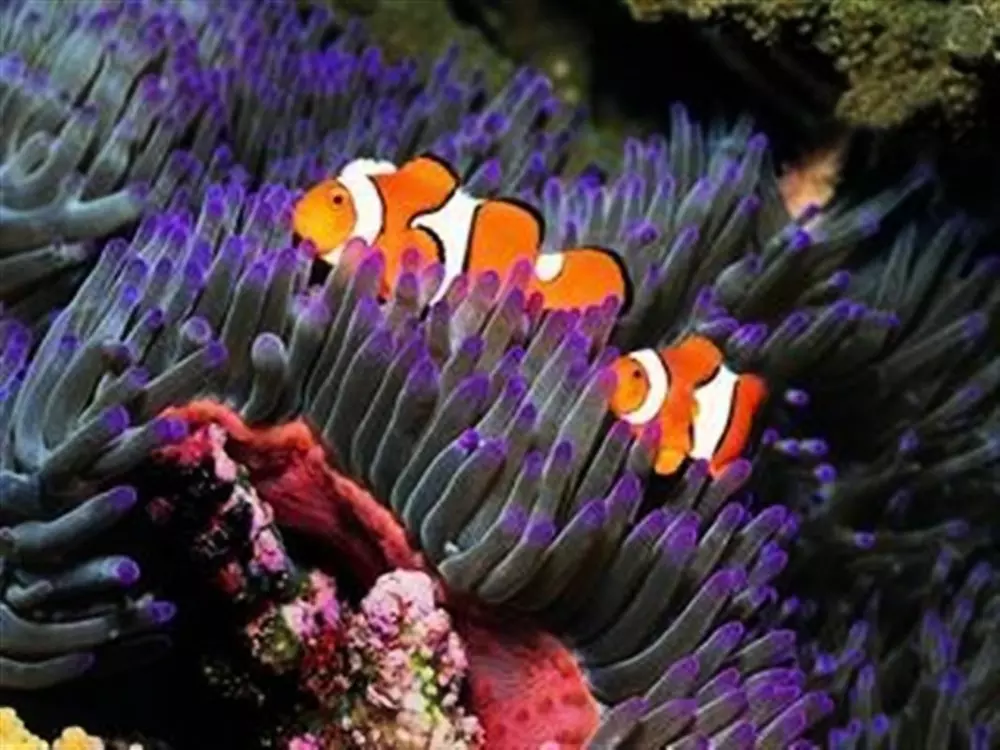 Campsite LA FONTAINE 3 Csillagok★★★