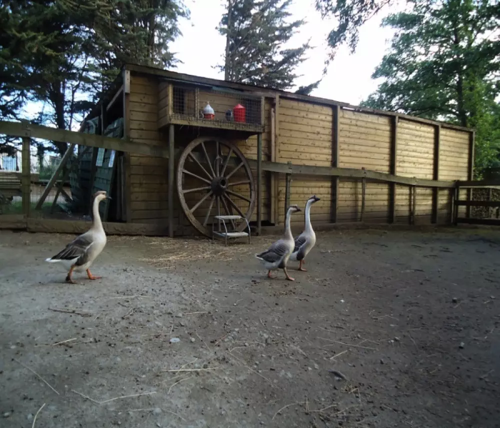 Camping Le Domaine de Brehadour4 Stars★★★★