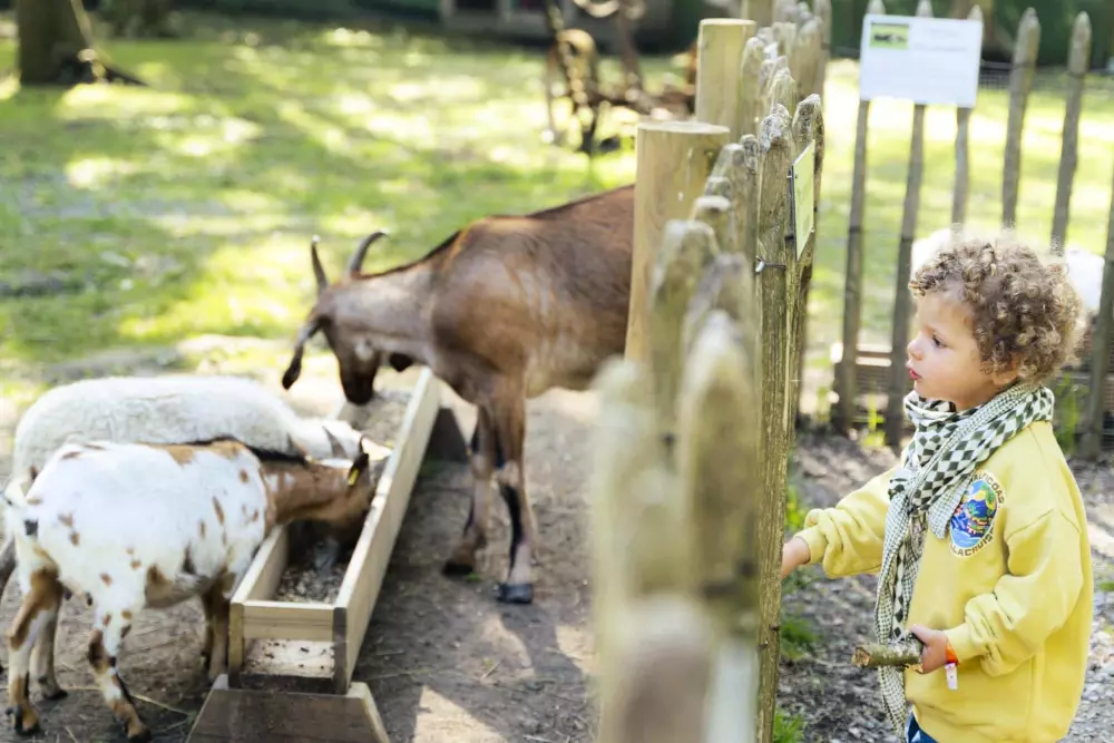 Campsite Domaine de Bréhadour 4 Stars★★★★