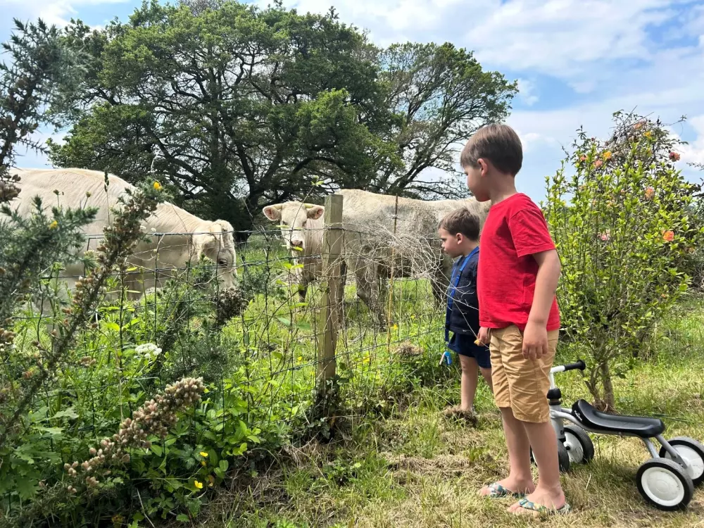 Campsite Domaine du Mes 3 Csillagok★★★