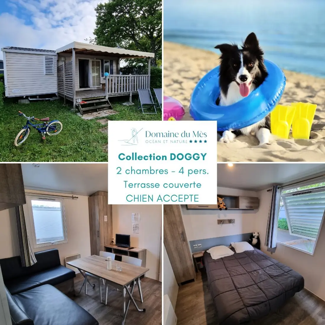 Campsite Domaine du Mes 4 Stars★★★★