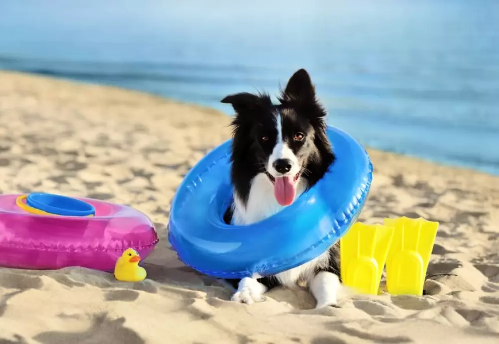 Campsite Domaine du Mes 3 Csillagok★★★