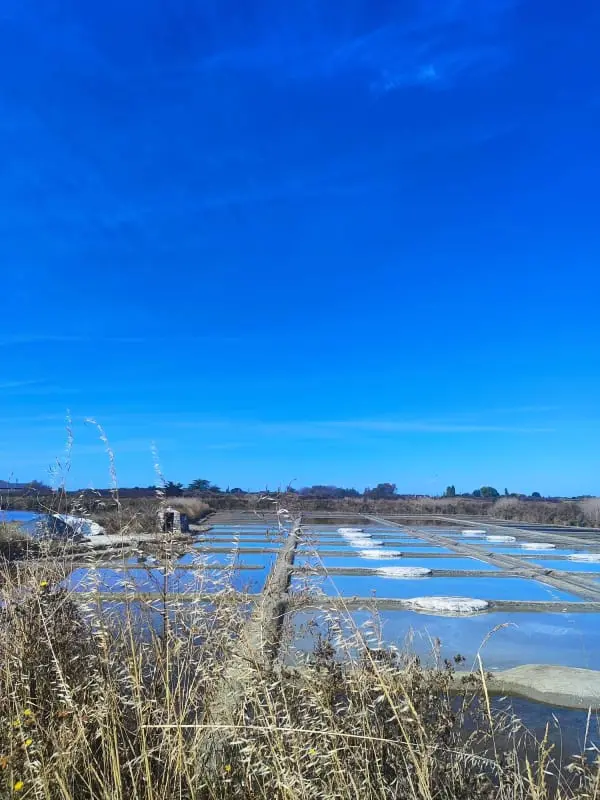 Maison De Charme Au Cœur Des Marais Salants
