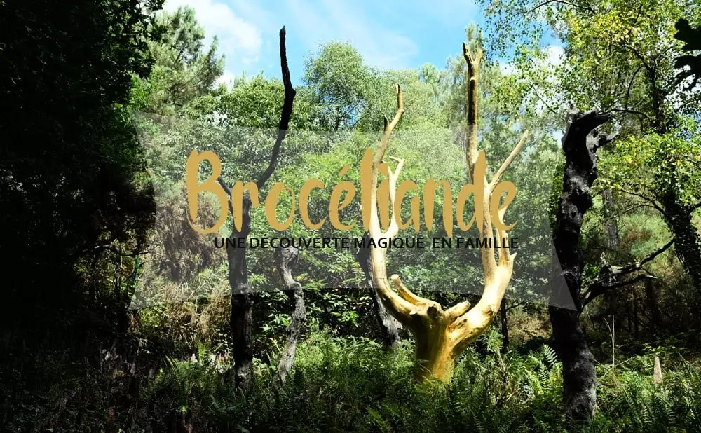 Camping des Cerisiers 3 Estrellas★★★