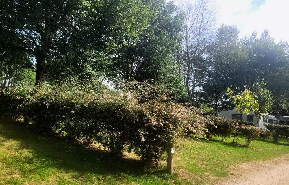 Camping des Cerisiers 3 Estrellas★★★