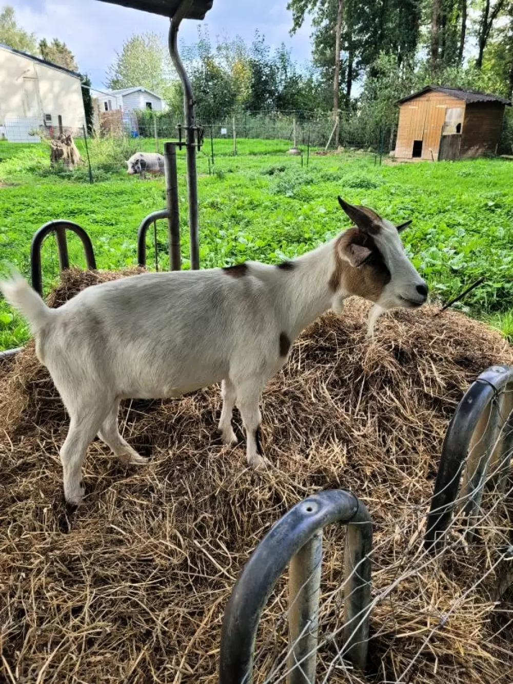 Camping des Cerisiers 3 Estrellas★★★