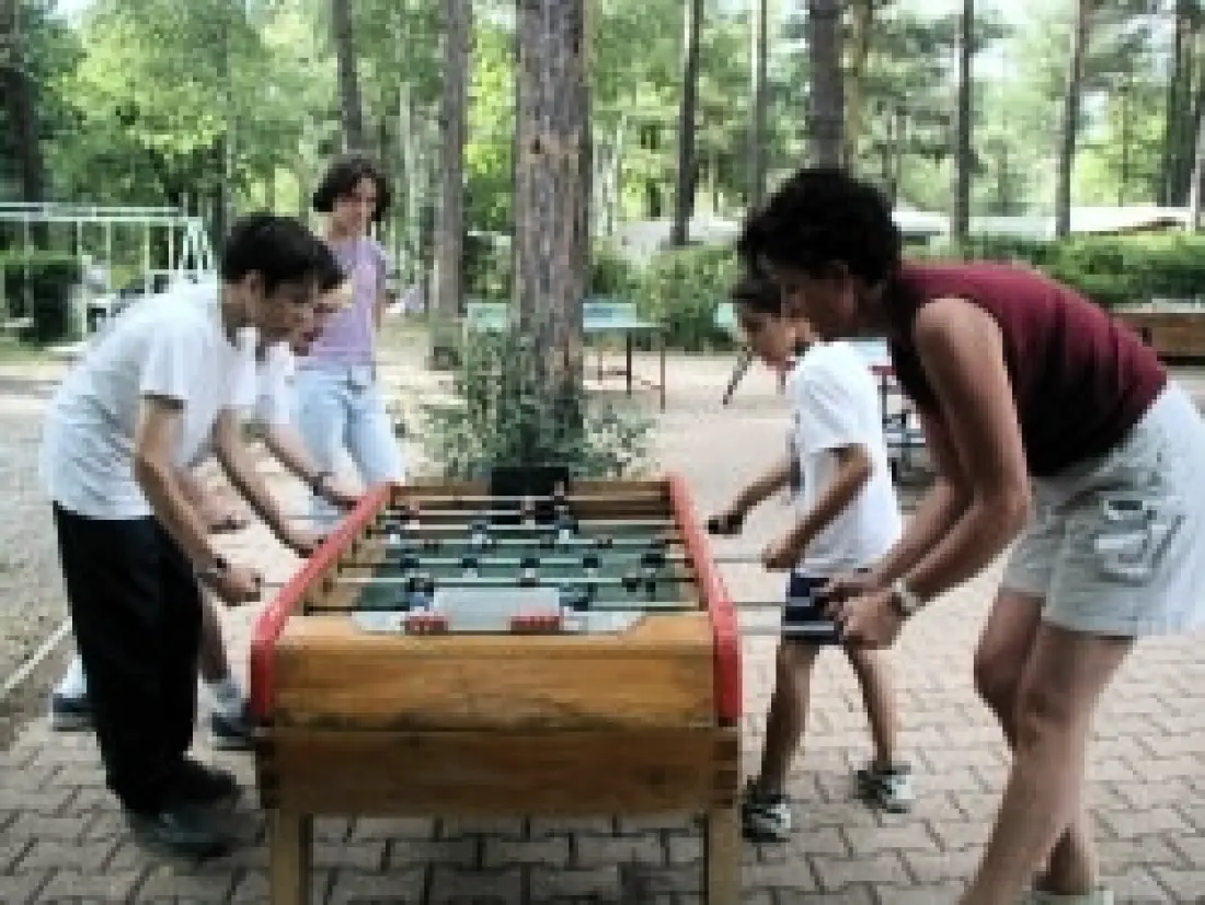 Camping Chalets Residencial SAINT JAMES LES PINS 3 Estrellas★★★