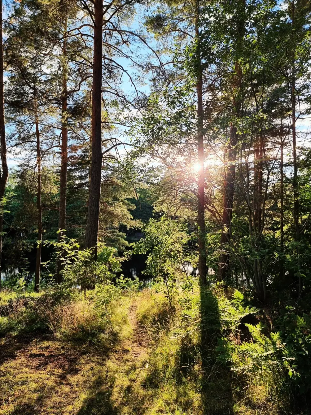 Smaland Miniglamping