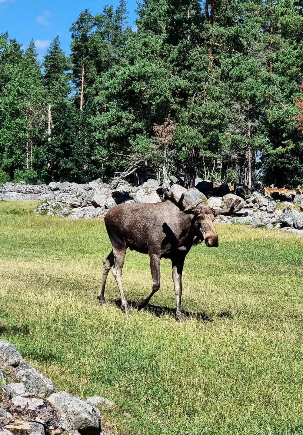 Smaland Miniglamping